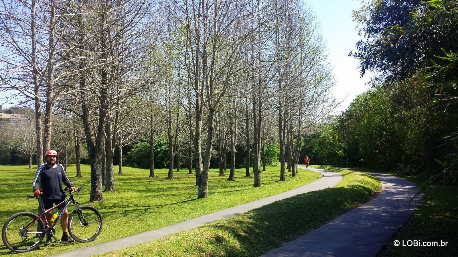 O que conhecer no Setor Histórico de Curitiba e ir de bicicleta?