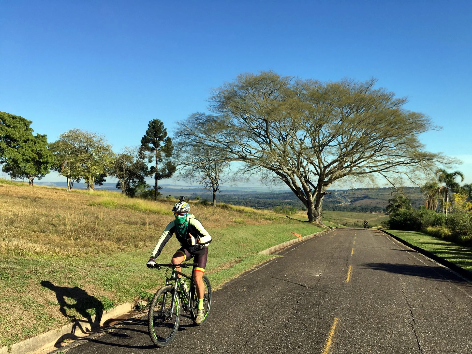 Ciclista pedala observando a natureza nos Campos Gerais do Paraná.