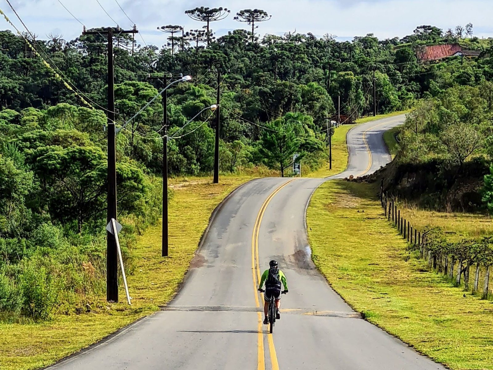 Projeto sustentável de reflorestamentos e o cicloturismo do Lobi Ciclotur. Foto Ivan Mendes