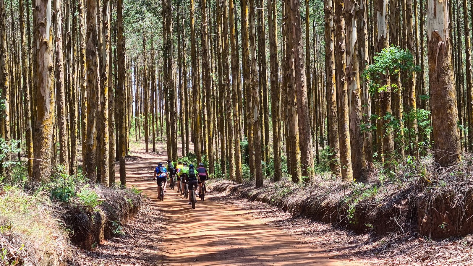 Ciclo aventura nos Campos Gerais no Paraná
