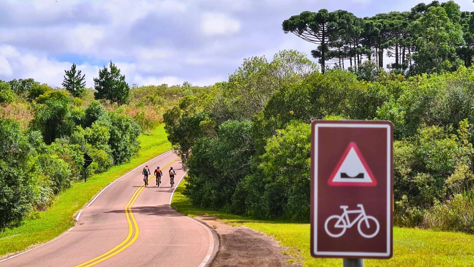 Ciclistas pedalam na Rota dos Tropeiros sinalizada para cicloturismo
