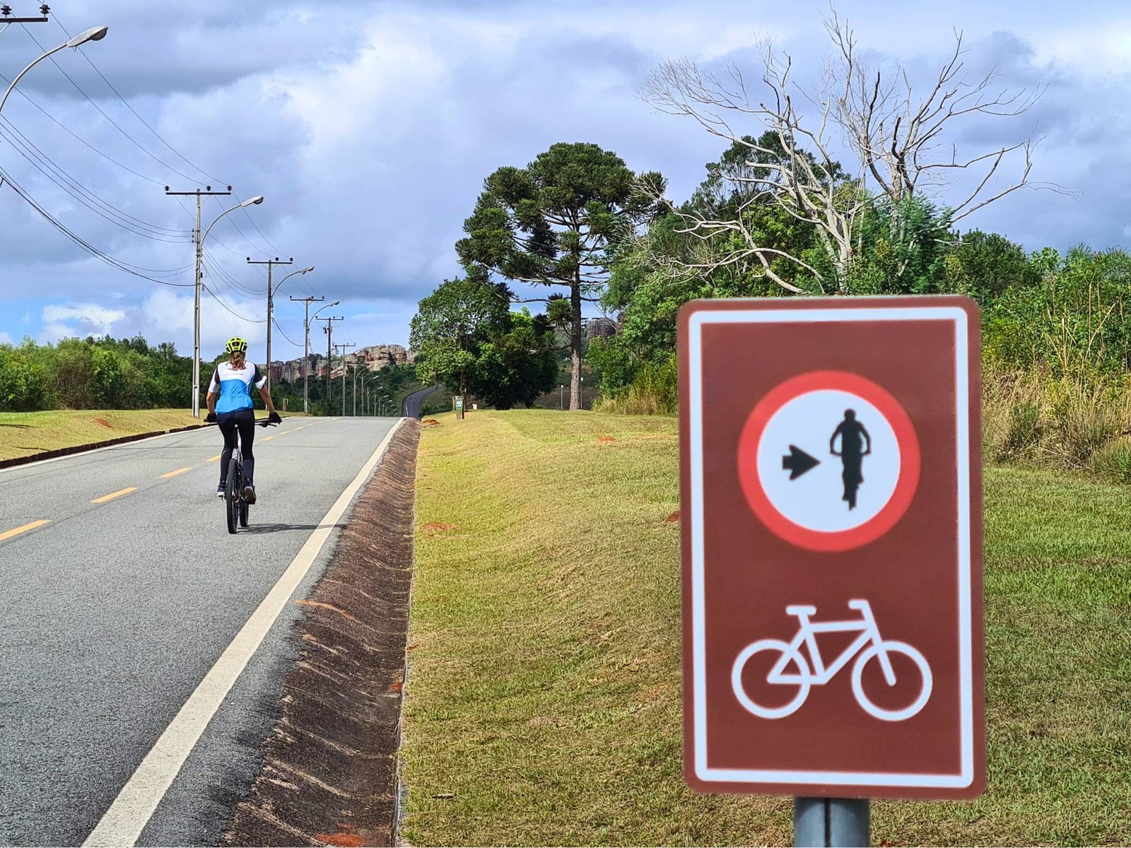 Ciclista contempla uma pedalada autoguiada, seguindo a sinalização para cicloturismo.