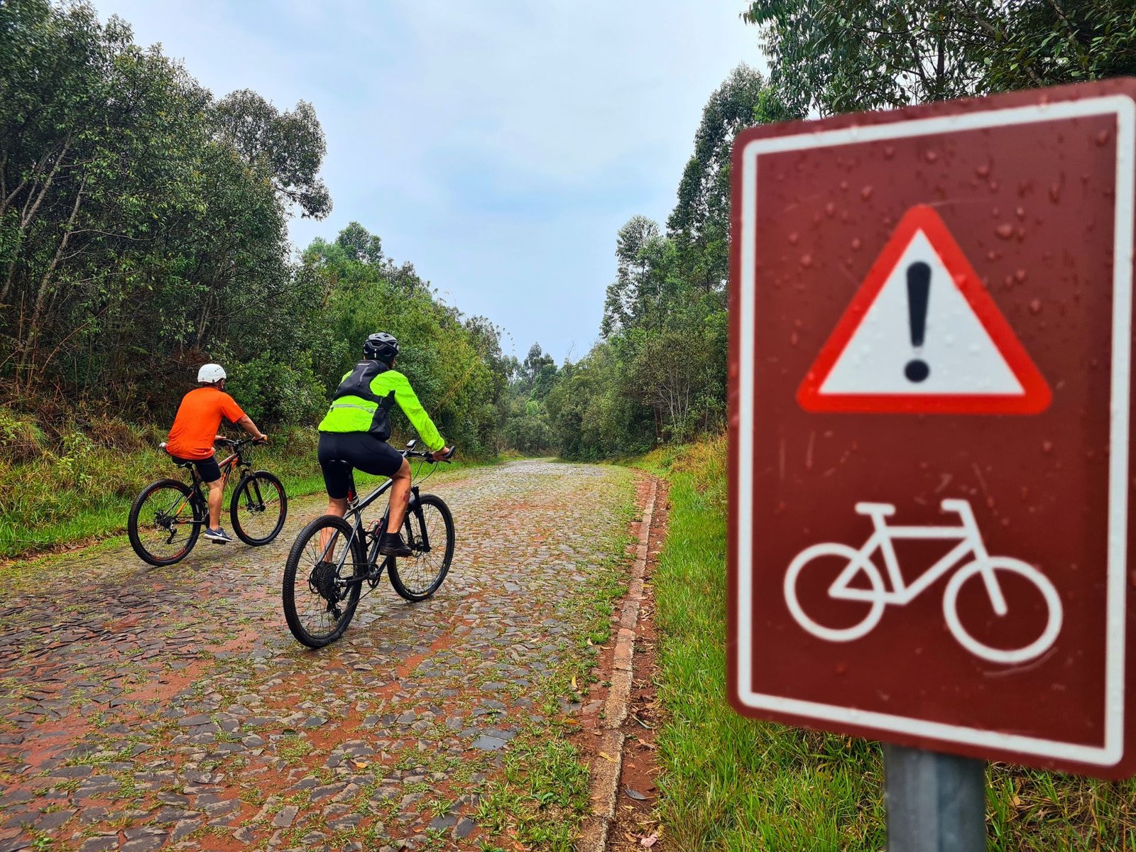 Ciclistas pedalam em rota de cicloturismo sustentável e autoguiada com reflorestamento.