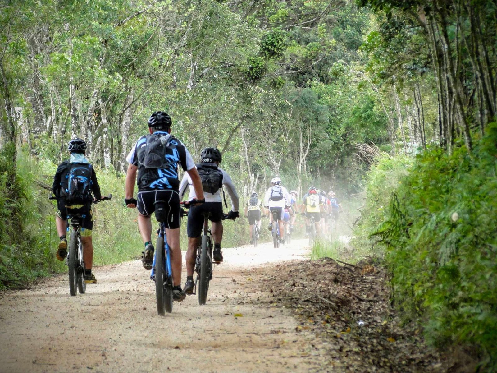 Ciclistas pedalam em rupo na Zona Rural do Paraná 