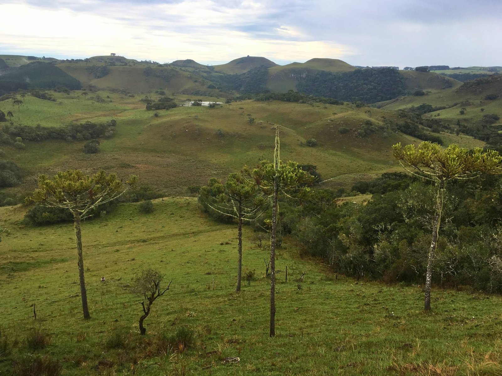 Foto atual do Caminho das Tropas nos Campos de cima da Serra Gaúcha