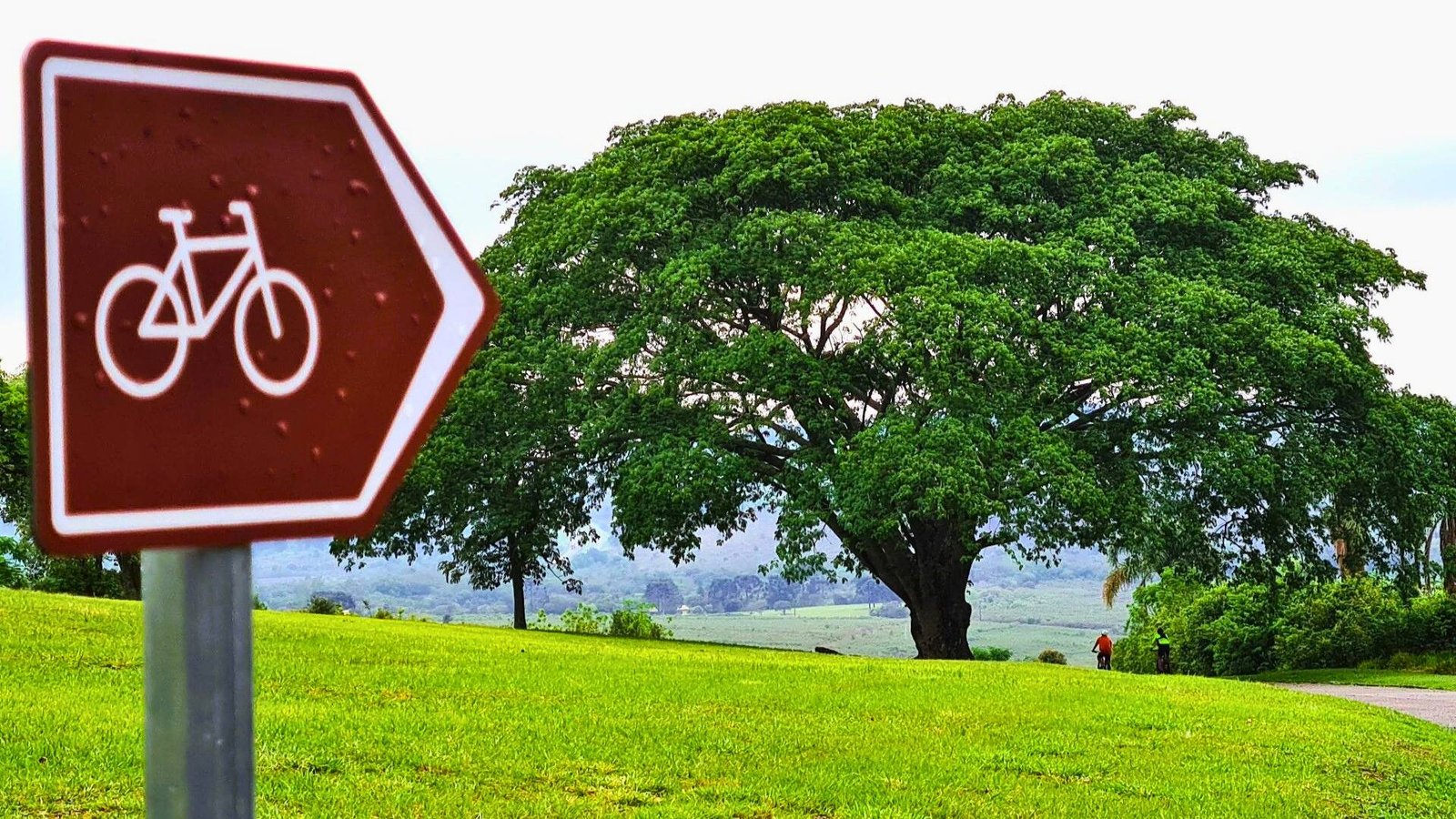 Sinalização de cicloturismo autoguiado e sustentável em unidade de conservação.