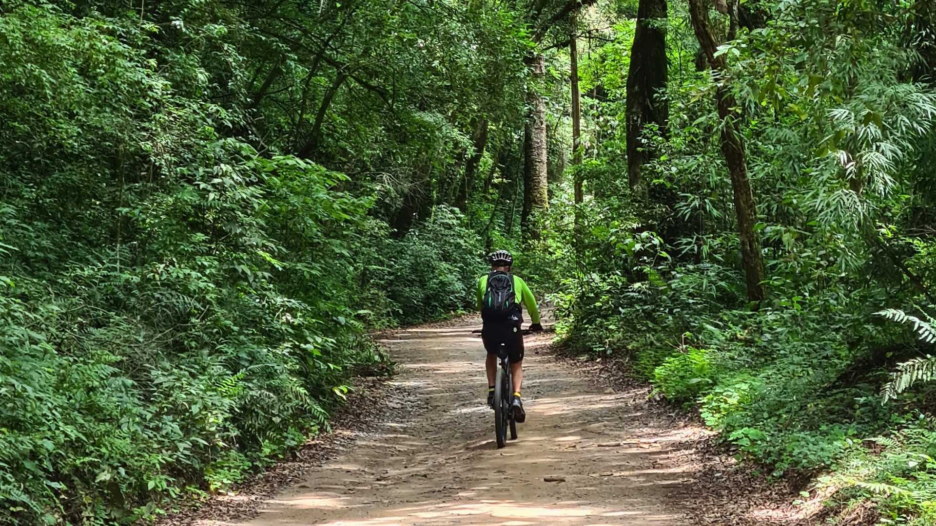 Ciclista pedalando em meio à natureza e redescobrindo a Rota dos Tropeiros através do cicloturismo.