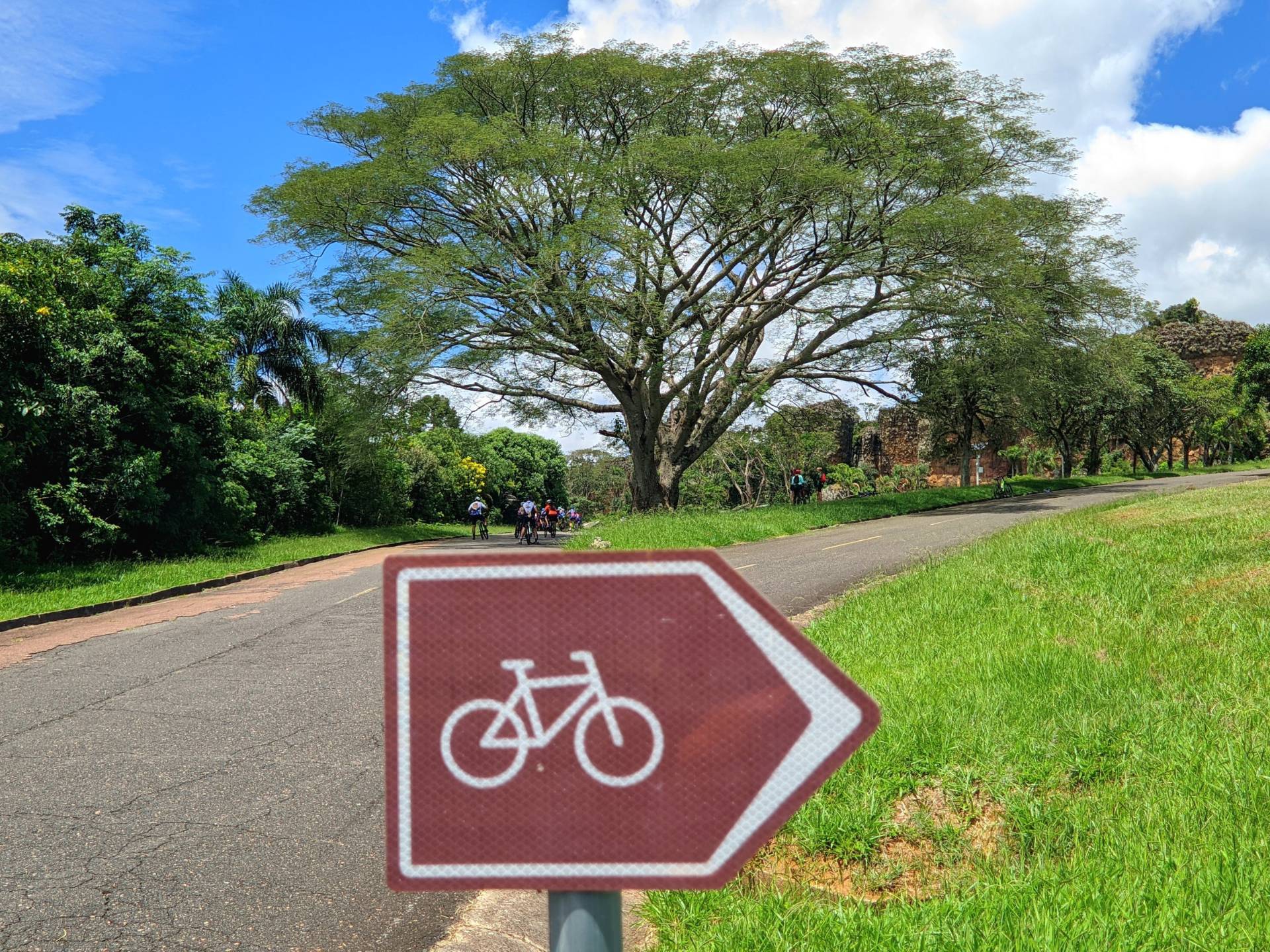 Cicloturismo com sinalização autoguiada na Rota dos Tropeiros.