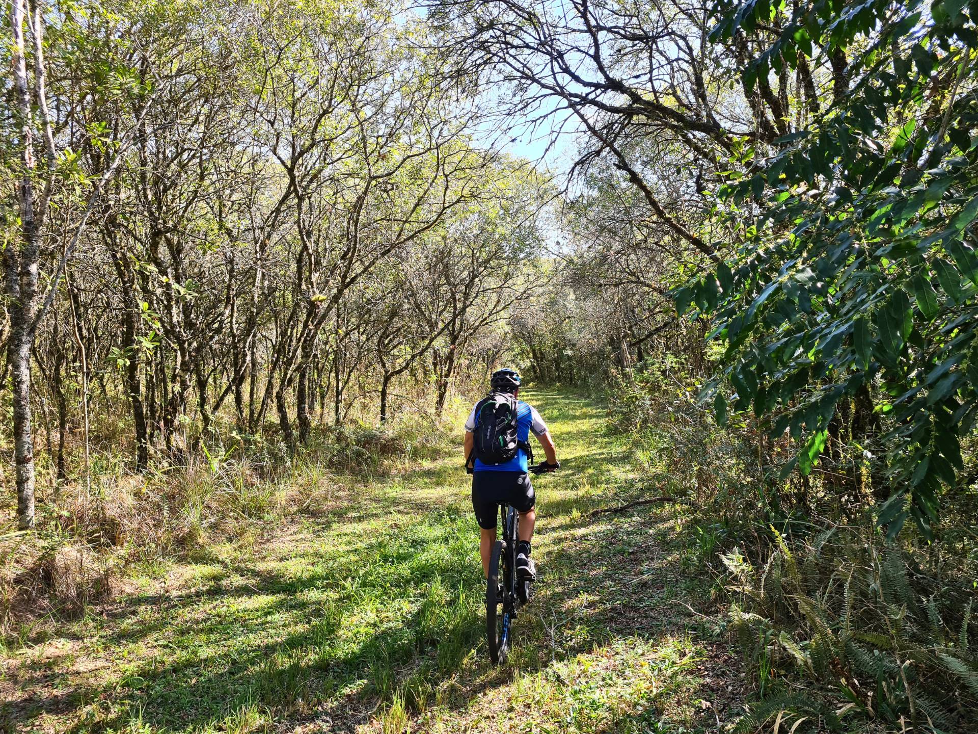 Cicloaventura nas Trilhas do Lobo e no Caminho das Tropas: Desvendando Caminhos Históricos.