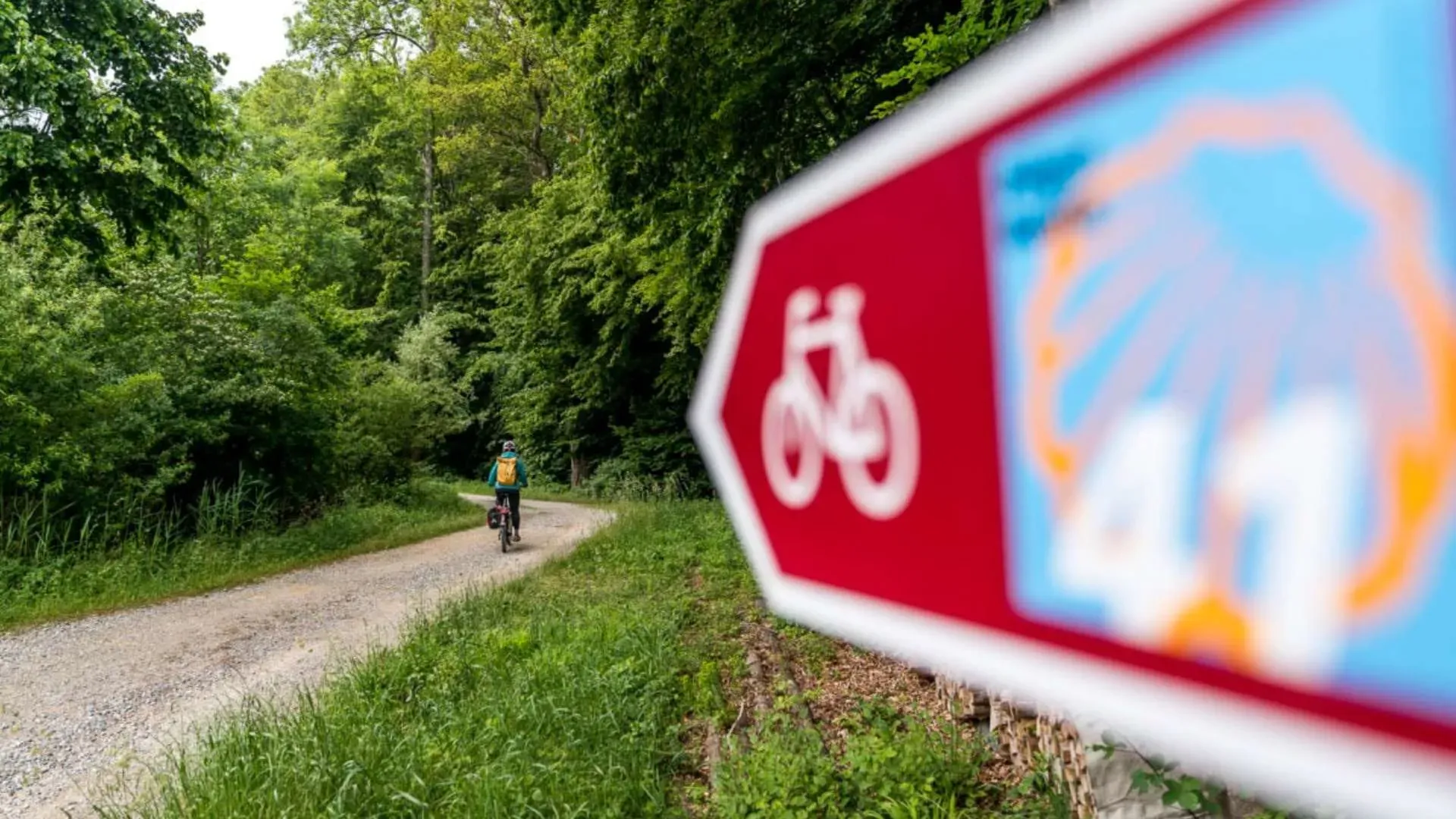 Sinalização para Cicloturismo na EuroVelo, Suiça. Ciclistas pedalando em meio à natureza, com sinalização para cicloturismo na Europa que segue os padrões internacionais de turismo.