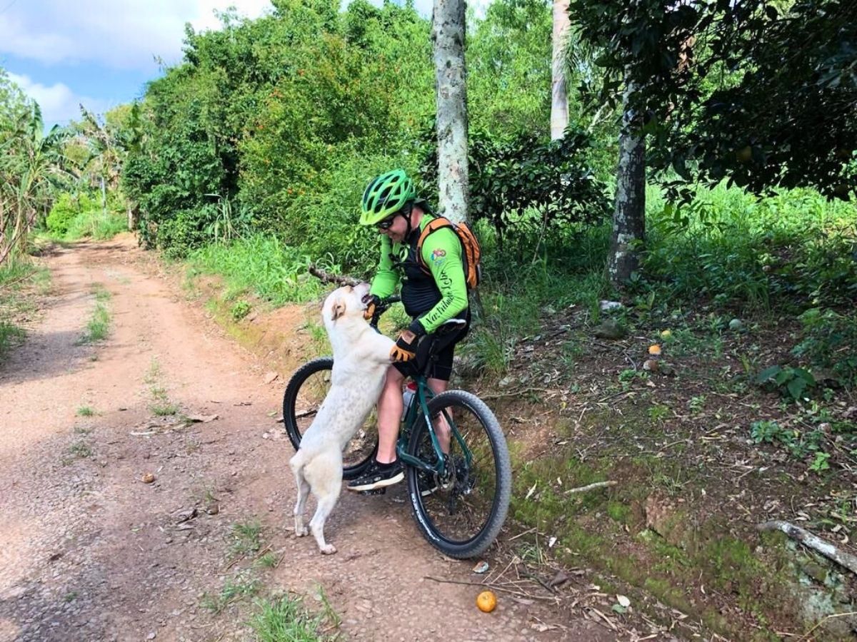 O Cicloturismo e o Abandono de Animais nas Estradas Rurais O Cicloturismo e o Abandono de Animais nas Estradas Rurais do Rio Grande do Sul