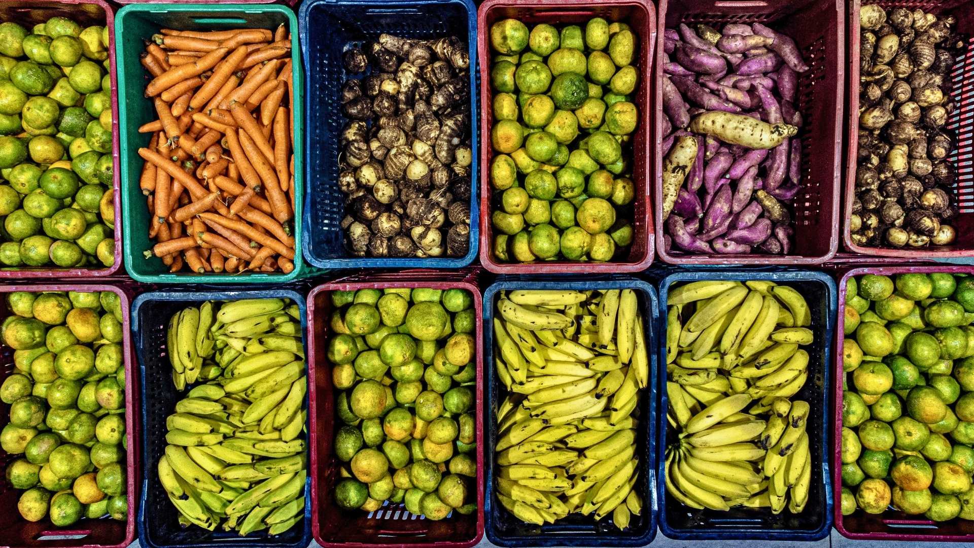 A diversidade de produtos sem agrotóxicos do assentamento Contestado, no município da Lapa, Paraná, abastece escolas e a população urbana. Produtos da agricultura familiar, livres de agrotóxicos, abastecem escolas e a população urbana.