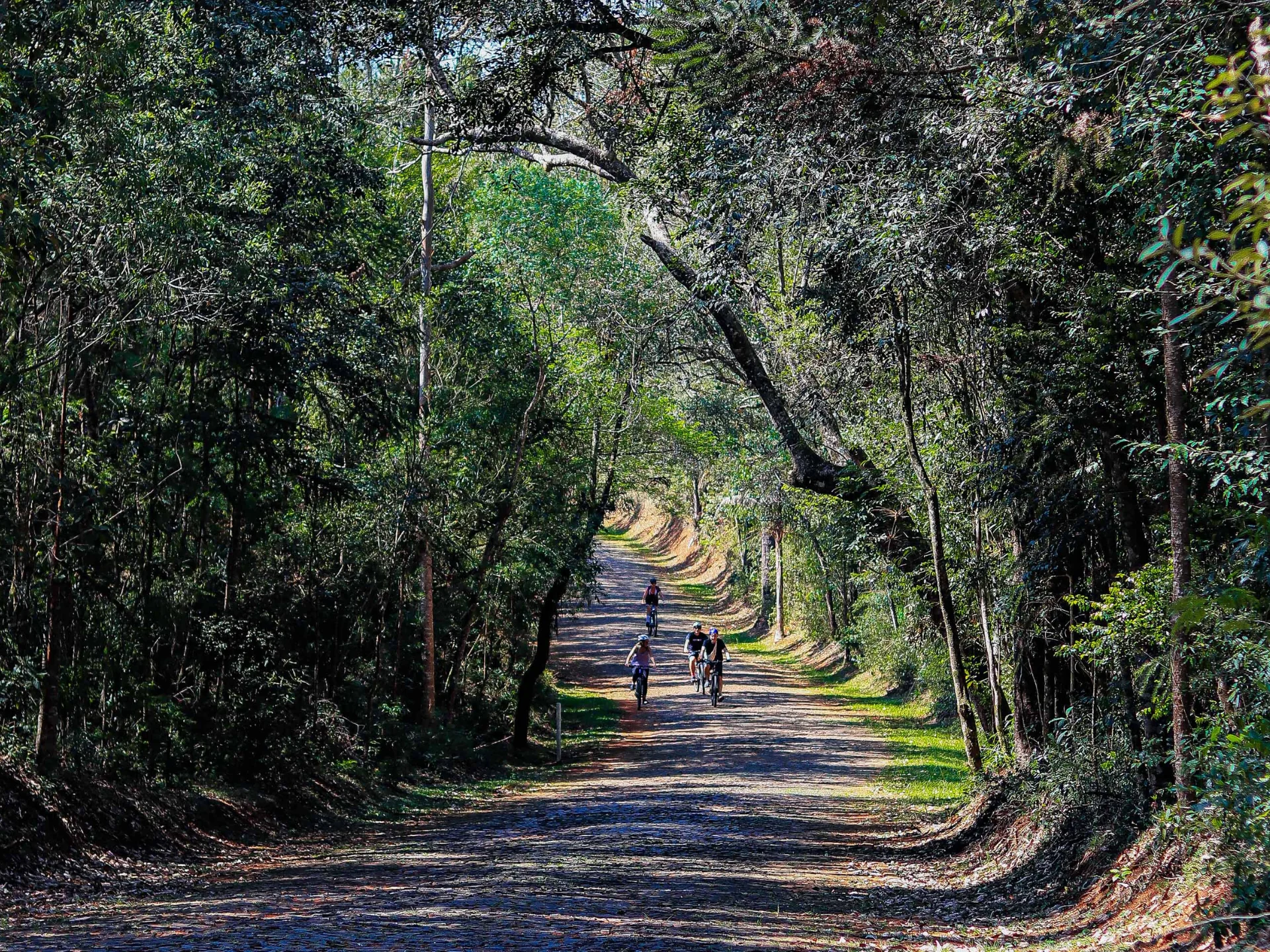 Desenvolvendo o Cicloturismo na Rota dos Tropeiros com corredores ecológicos. Desenvolvimento do cicloturismo na Rota dos Tropeiros com a plantação de pomares que proporcionam sombra e alimentos para os pássaros.