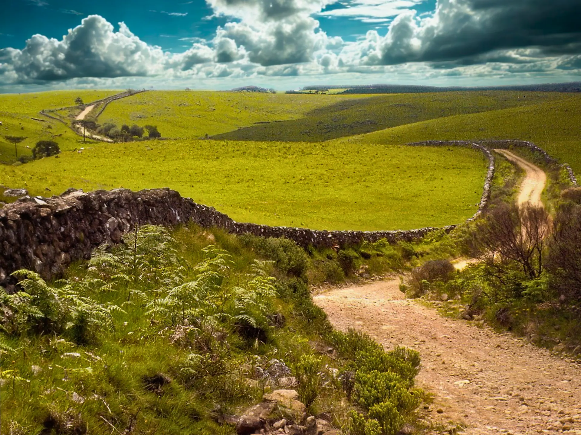 Taipas de pedra na Coxilha Rica, em Lajes, no Caminho das Tropas. Imagem: Ivan Mendes © Lobi Ciclotur Taipas de pedra na Coxilha Rica, em Lajes, no Caminho das Tropas.